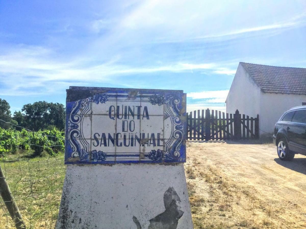 Вилла Quinta Do Sanguinhal Риу-Майор Экстерьер фото