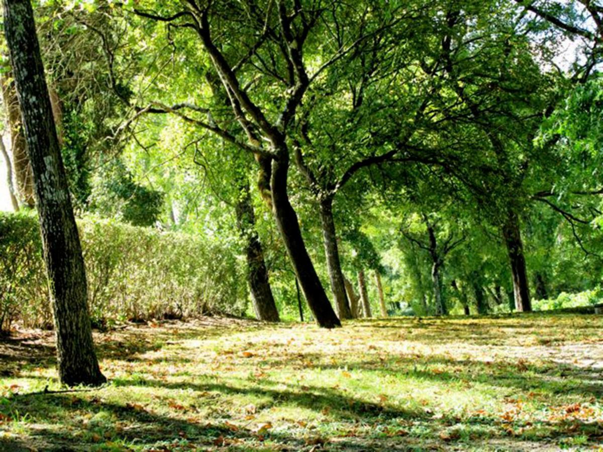 Вилла Quinta Do Sanguinhal Риу-Майор Экстерьер фото